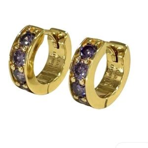 Allison Avery Wren Amethyst Huggie Earrings